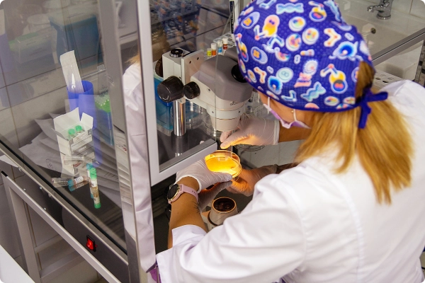 Egg donation: general overview